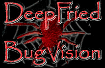Deep Fried BugVision