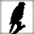 Hawk