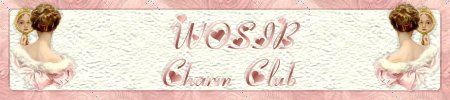 WOSIB Charms