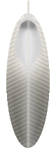 Feather