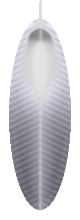 Feather