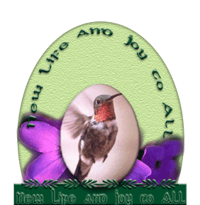 New Life and Joy to All