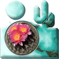 Flower in desert-scene