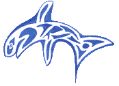 Orca facing left