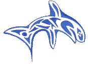 Orca facing right