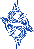 Dancing Orcas