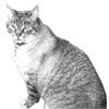 Sid, sketched