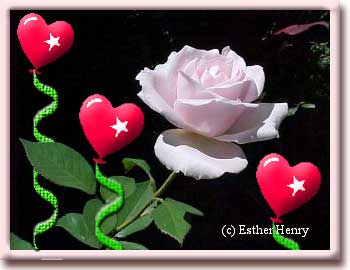 Happy Valentine's Day
