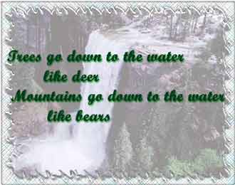 Poetic Postcard