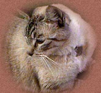 Sid, for his own web page
