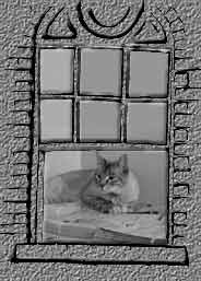 Sid in a brick window