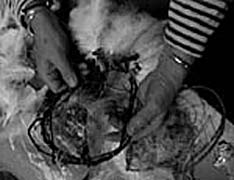 Betty's hands