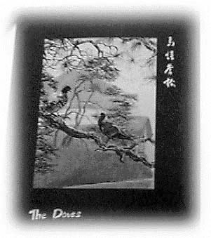Poster of 'The Doves'
