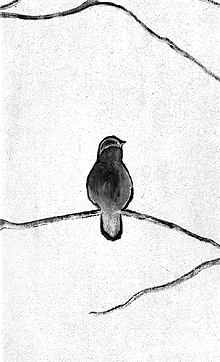 Winter Bird