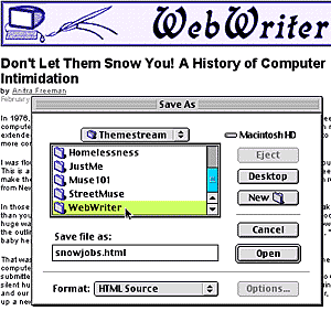 'Save As' Dialogue Window