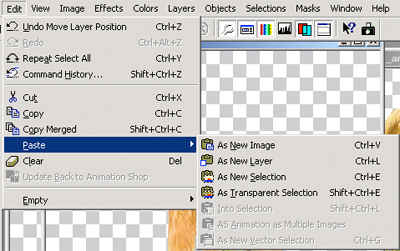 Paste as new layer