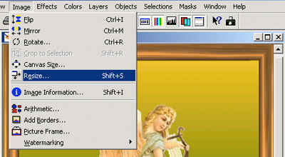 Resize Command