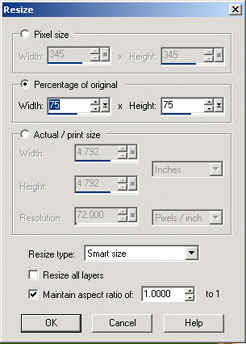 Resize Options