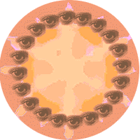 Wheel of the Seasons